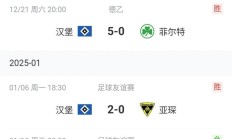 开云体育入口-柏林赫塔主场取胜，继续保持不败