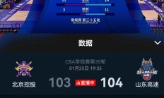 开云官网-山东队客场斩获胜利，积分飙升