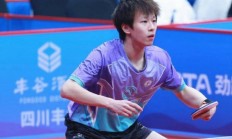 开云下载-德国队绝杀中国队，林高远刷新纪录的简单介绍