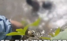 开云体育官网-千钧一发之际，谁能够涌现胜利的简单介绍