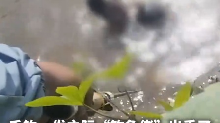 千钧一发之际，谁能够涌现胜利的简单介绍