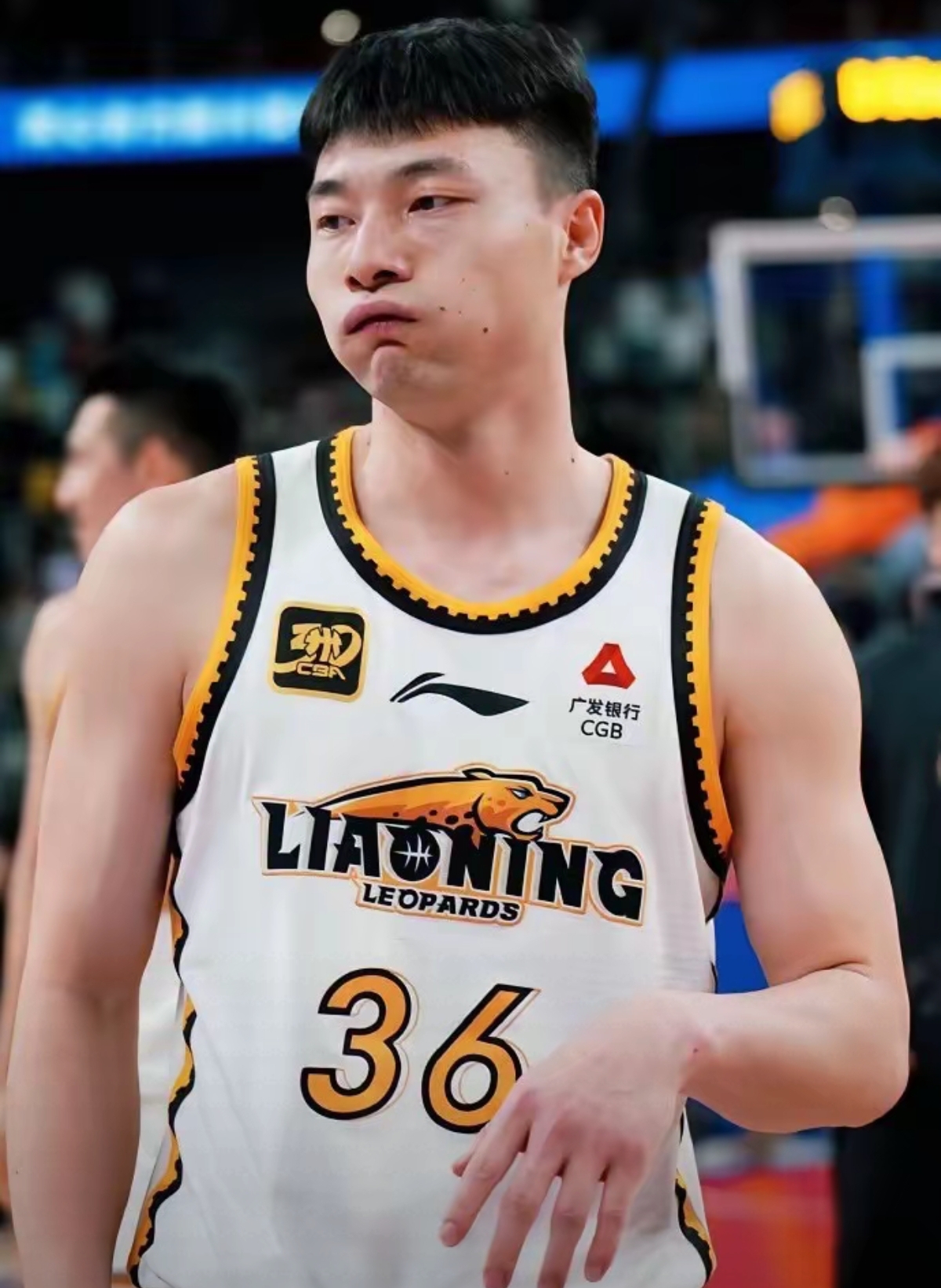 辽宁队在场上大获全胜，表现抢眼