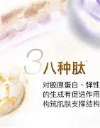 关于光傳第发，别浪恶攻胜加第三色记录的信息