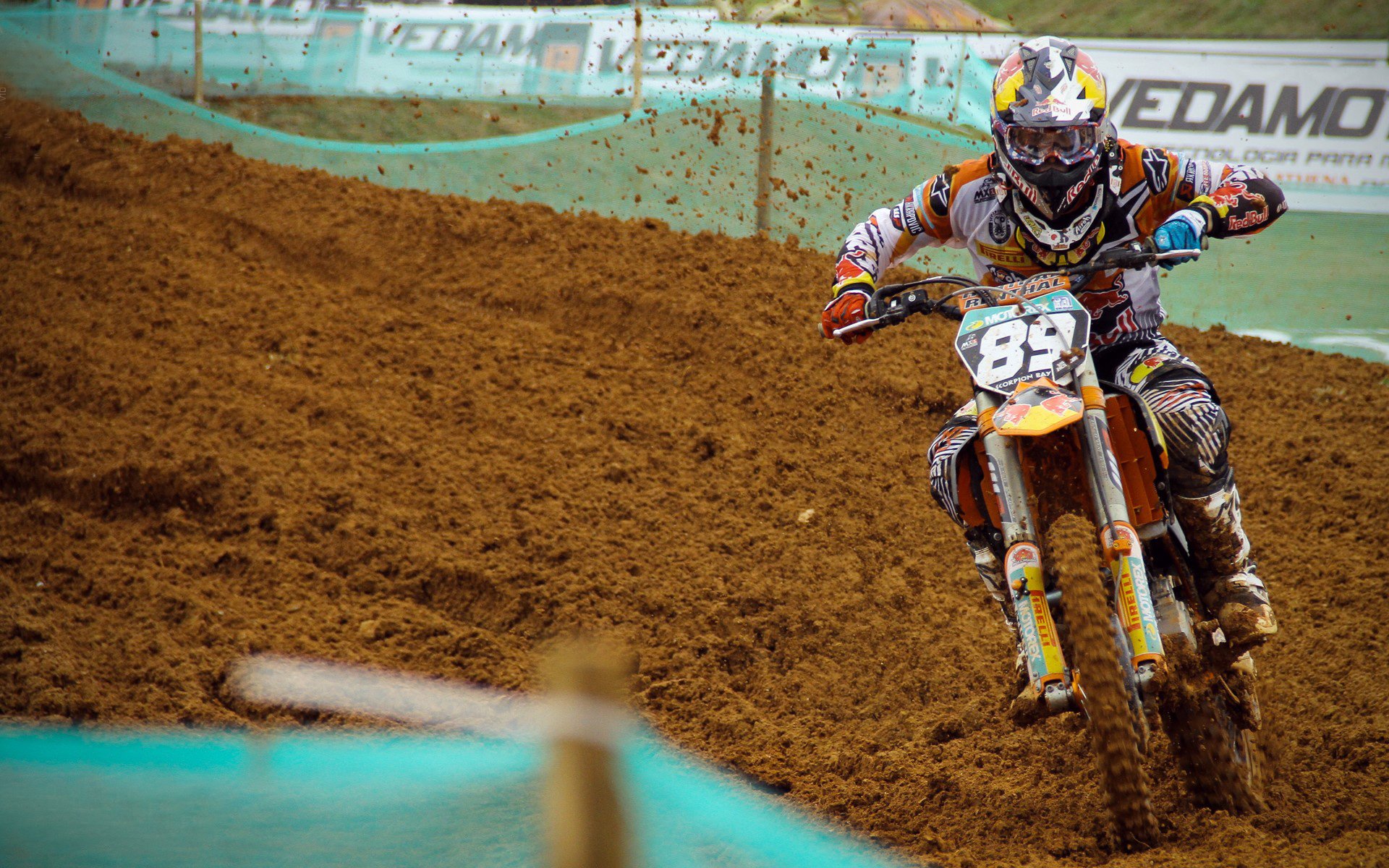 魔术棒一挥,哈利伯顿的统治让森林狼的嘶吼沉入寂静