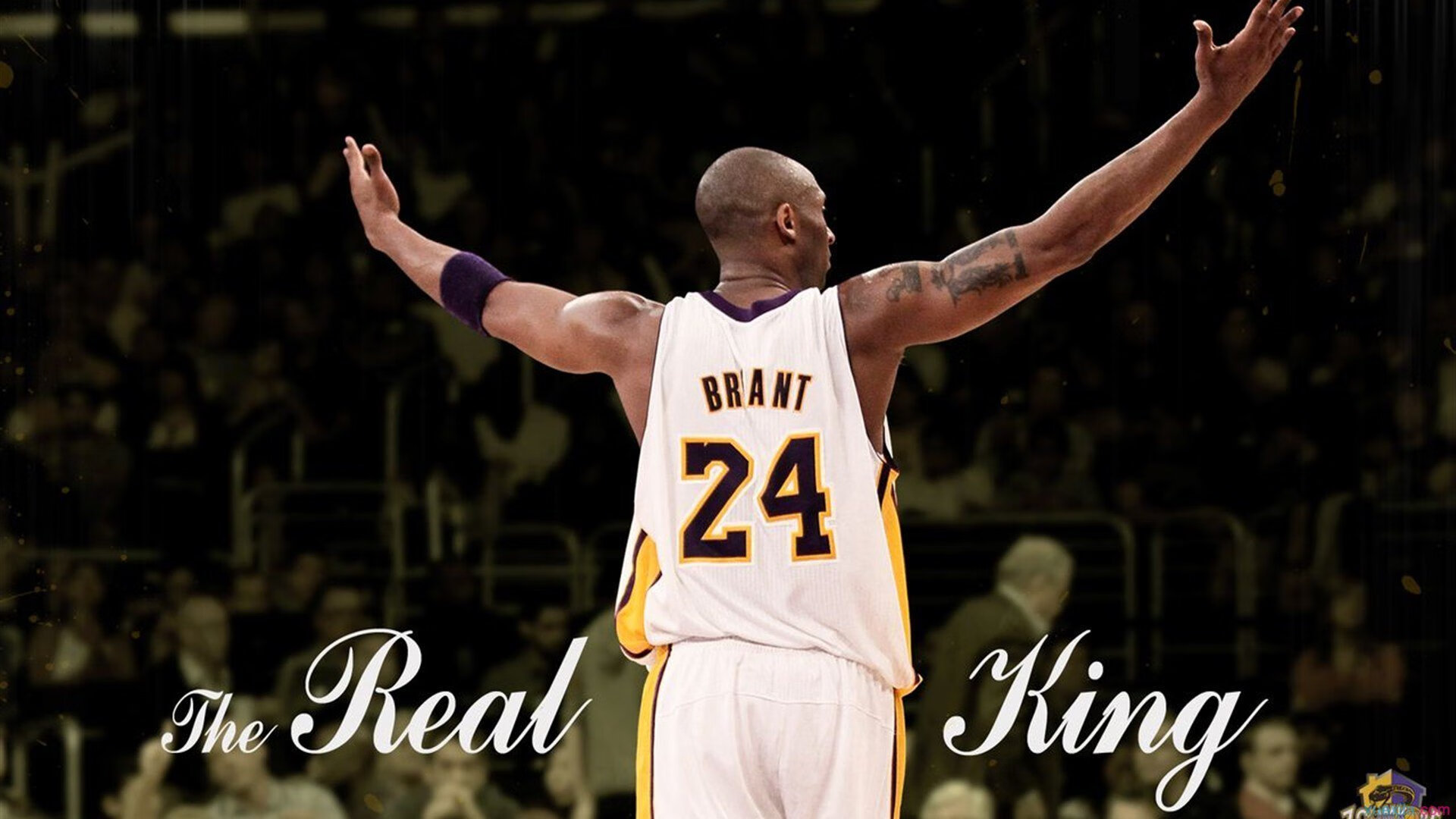 双面君临，世界排名之战，马克西攻防两端的绝对统治