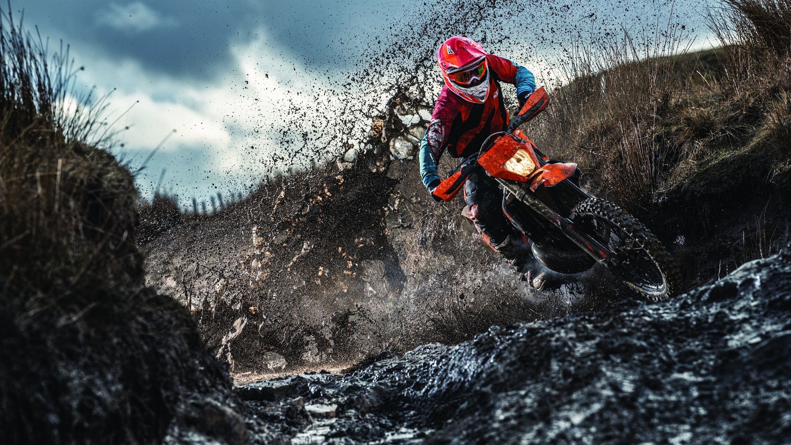 被激活的暗子，麦科勒姆的48分，如何成为辽宁棋局里的胜负手