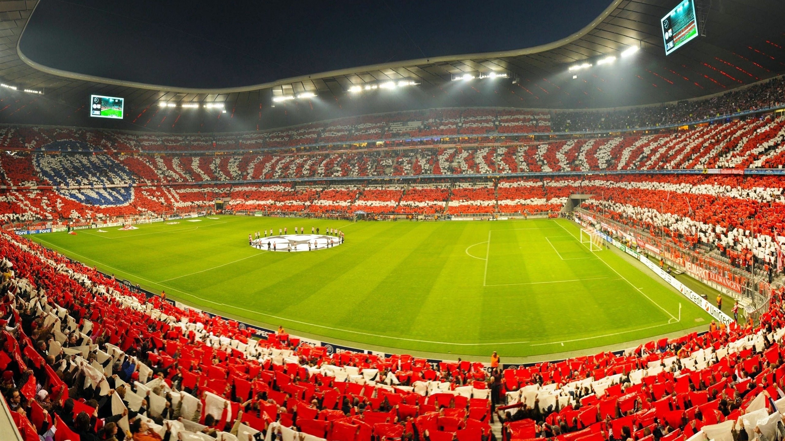 红土霸权与室内王冠，蒂姆如何在两极网坛定义胜利